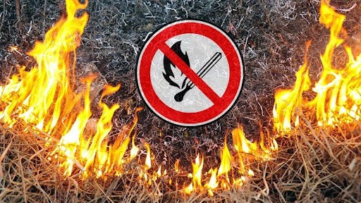 Про заборону спалювання сухої рослинності